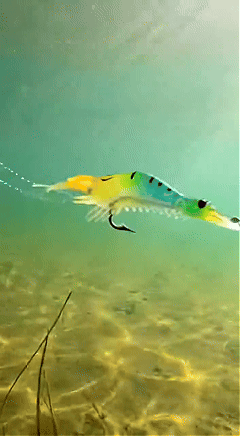 Luminous Shrimp Lure Kit with Hook, Realistic Soft Fishing Bait for Saltwater & Freshwater, 9cm 6g Simulation Shrimp Lures for Bass, Trout, Redfish, Snook