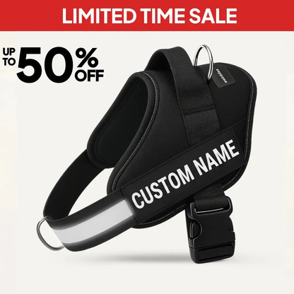 Personalized Dog Harness