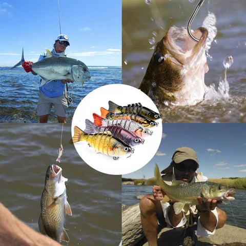 Bionic Swimming Lure