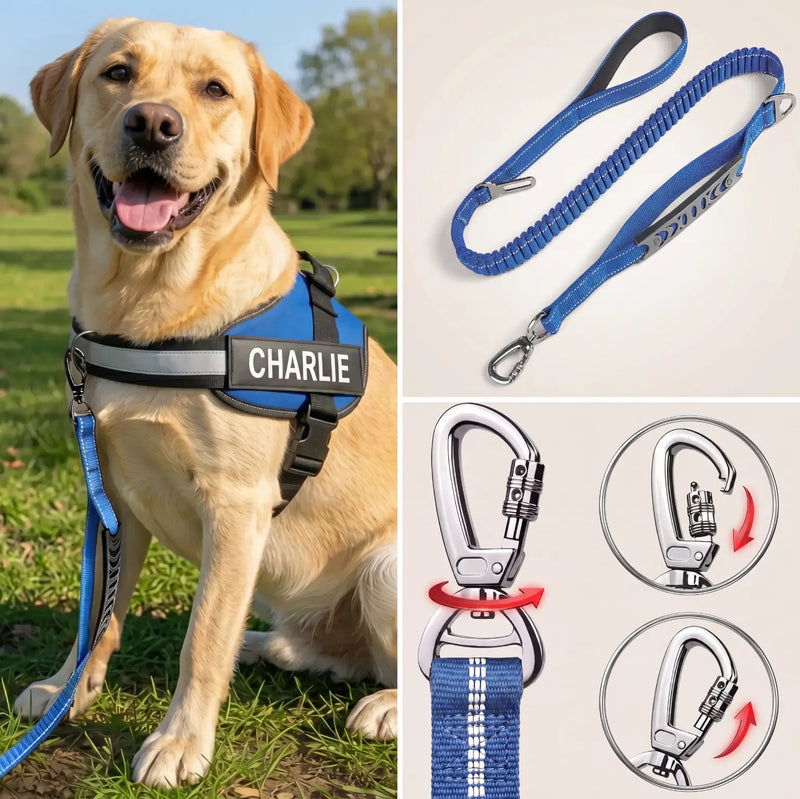 Personalized Dog Harness