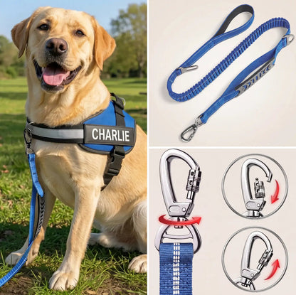 Personalized Dog Harness