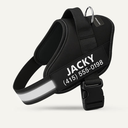 Personalized Dog Harness