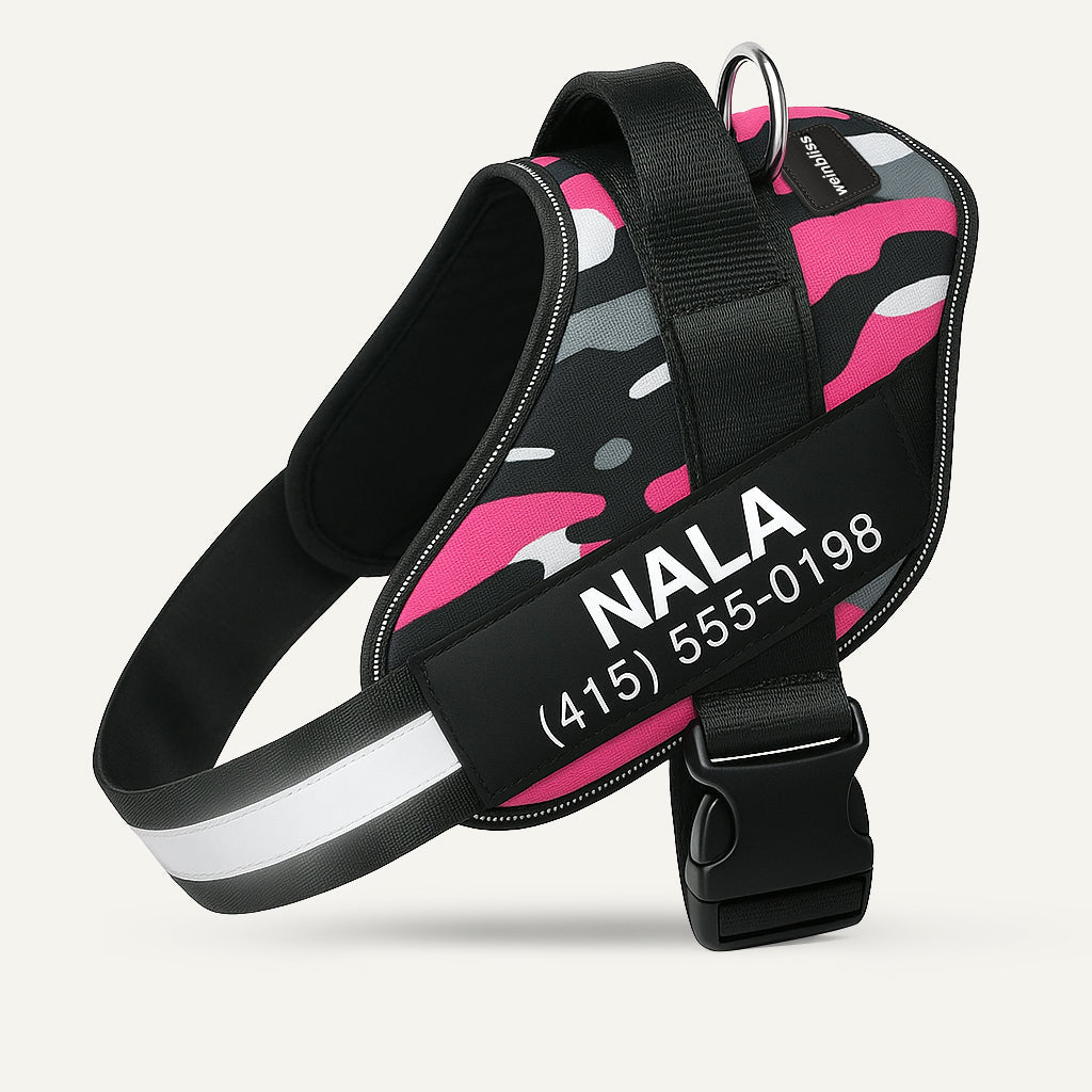 Personalized Dog Harness