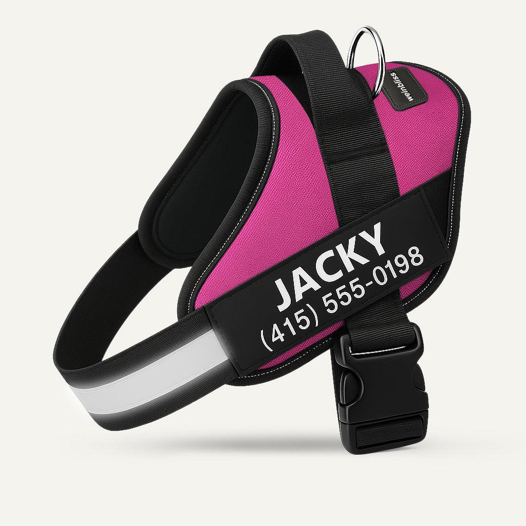 Personalized Dog Harness