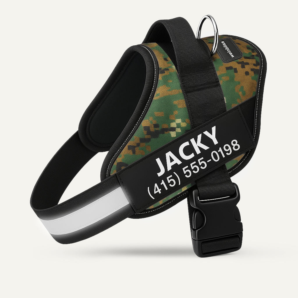 Personalized Dog Harness