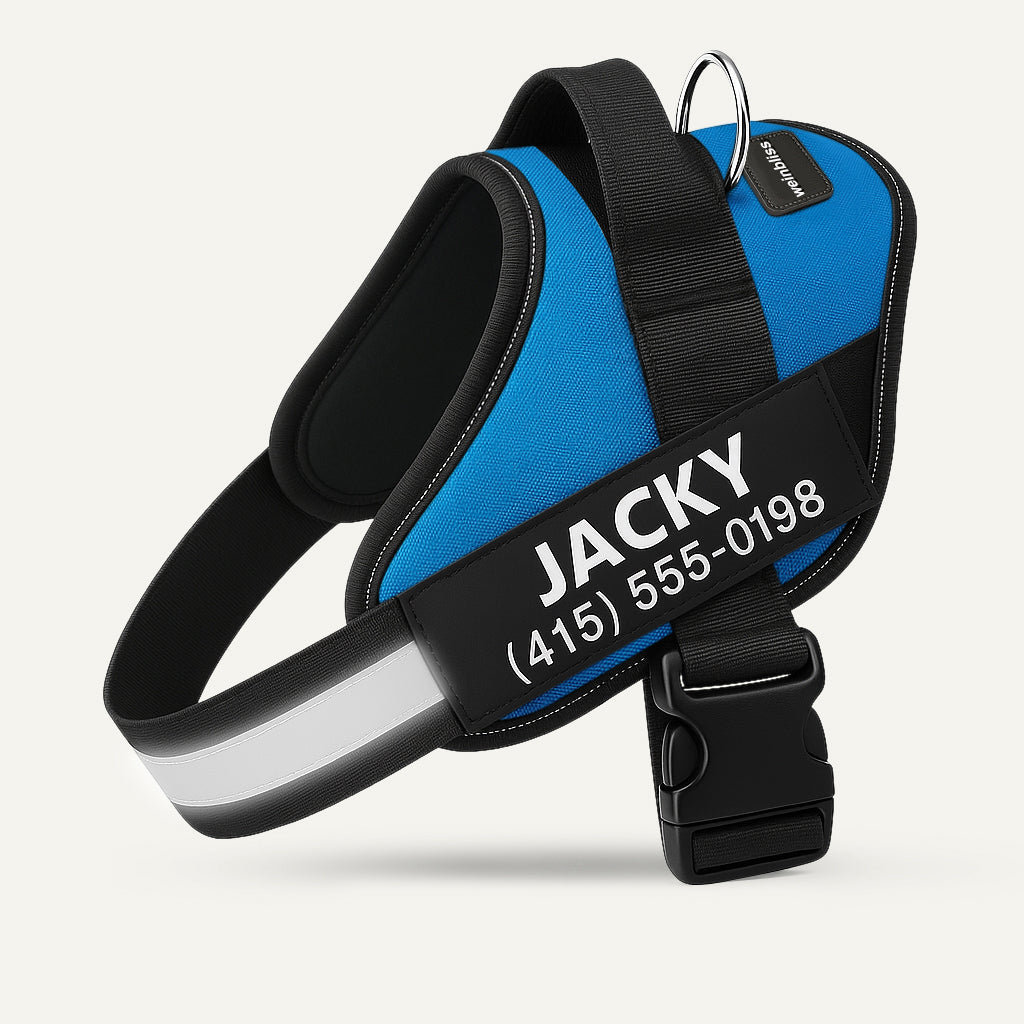 Personalized Dog Harness