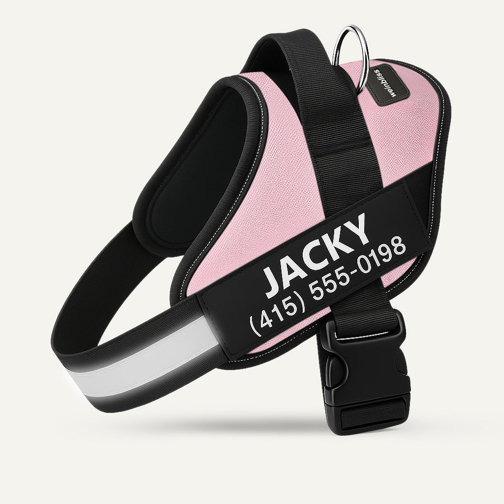 Personalized Dog Harness