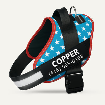 Personalized Dog Harness