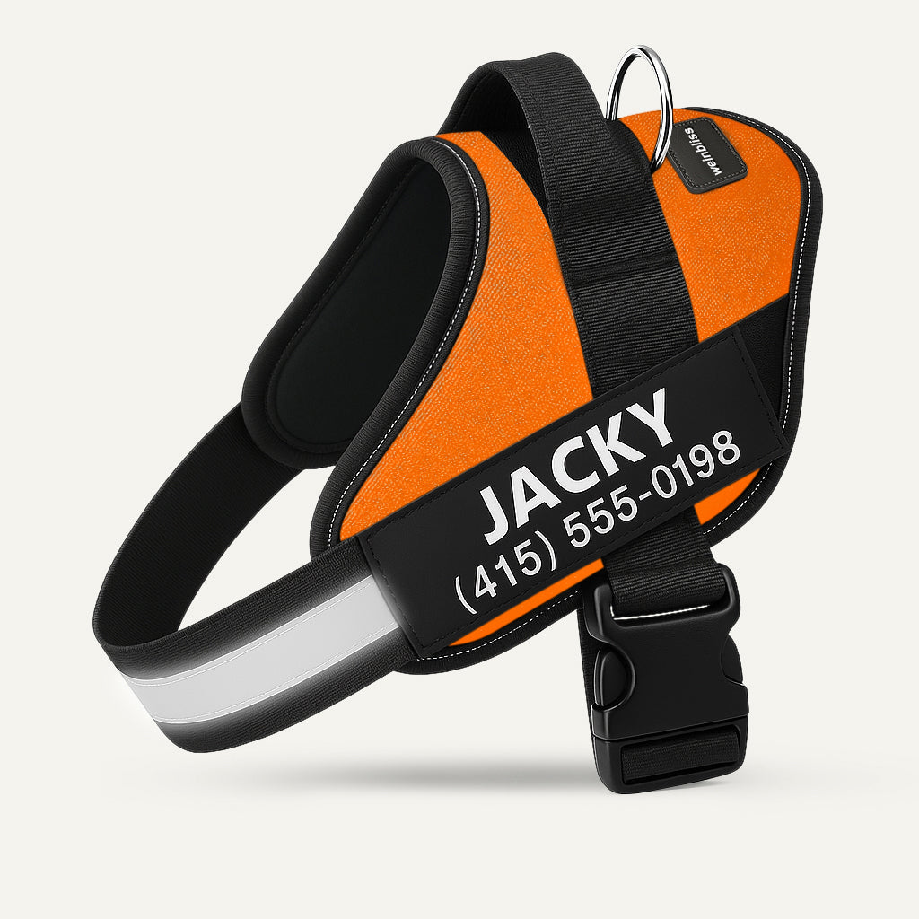 Personalized Dog Harness