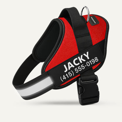 Personalized Dog Harness
