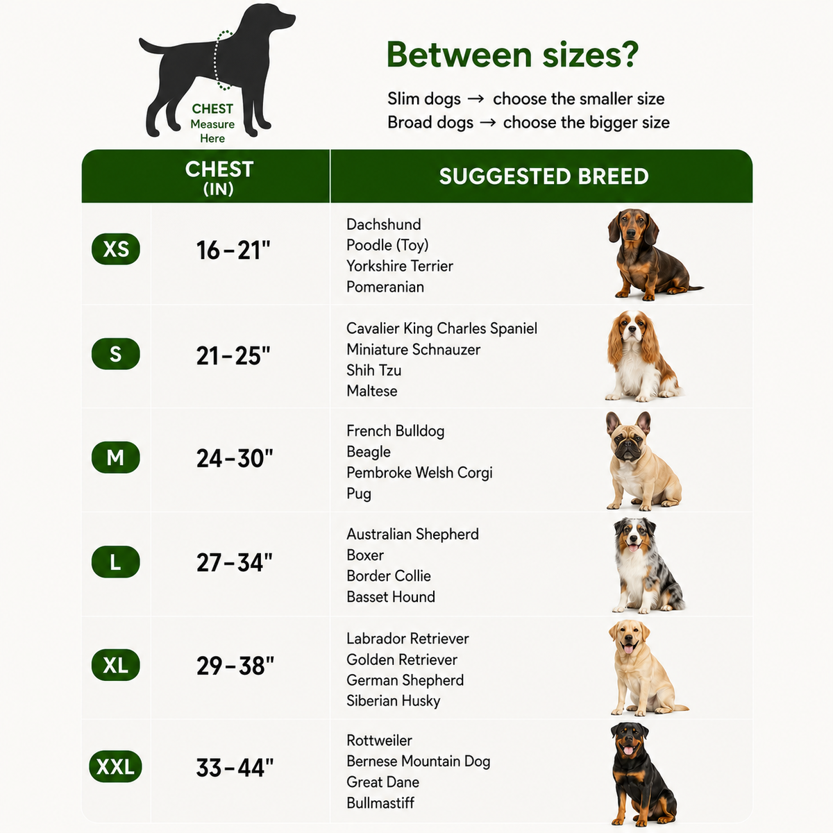 Personalized Dog Harness