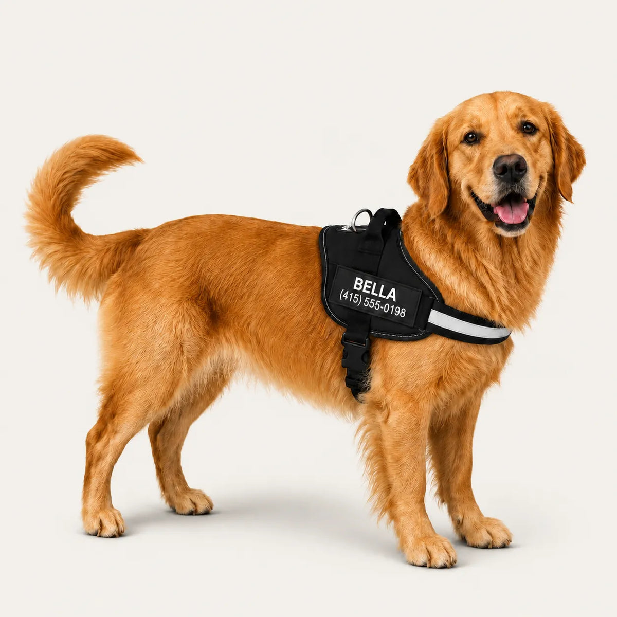 Personalized Dog Harness