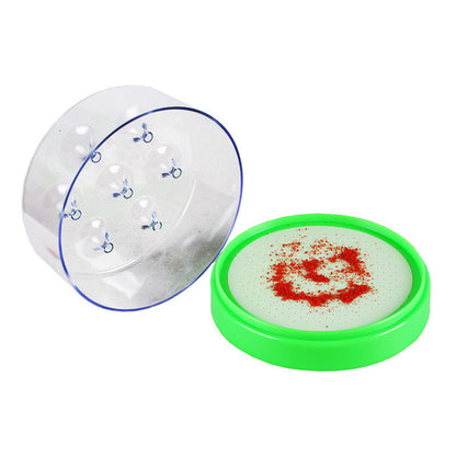 ♻️ Reusable fly trap—no electricity, no poison! 🏠 Safe to use in the kitchen and around children and pets.